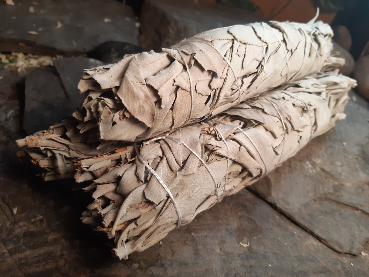 Sage LARGE size Cleansing Smudging stick