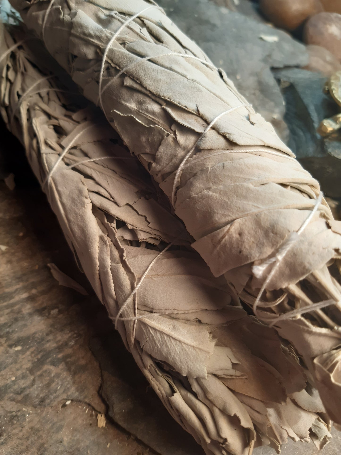 Sage LARGE size Cleansing Smudging stick