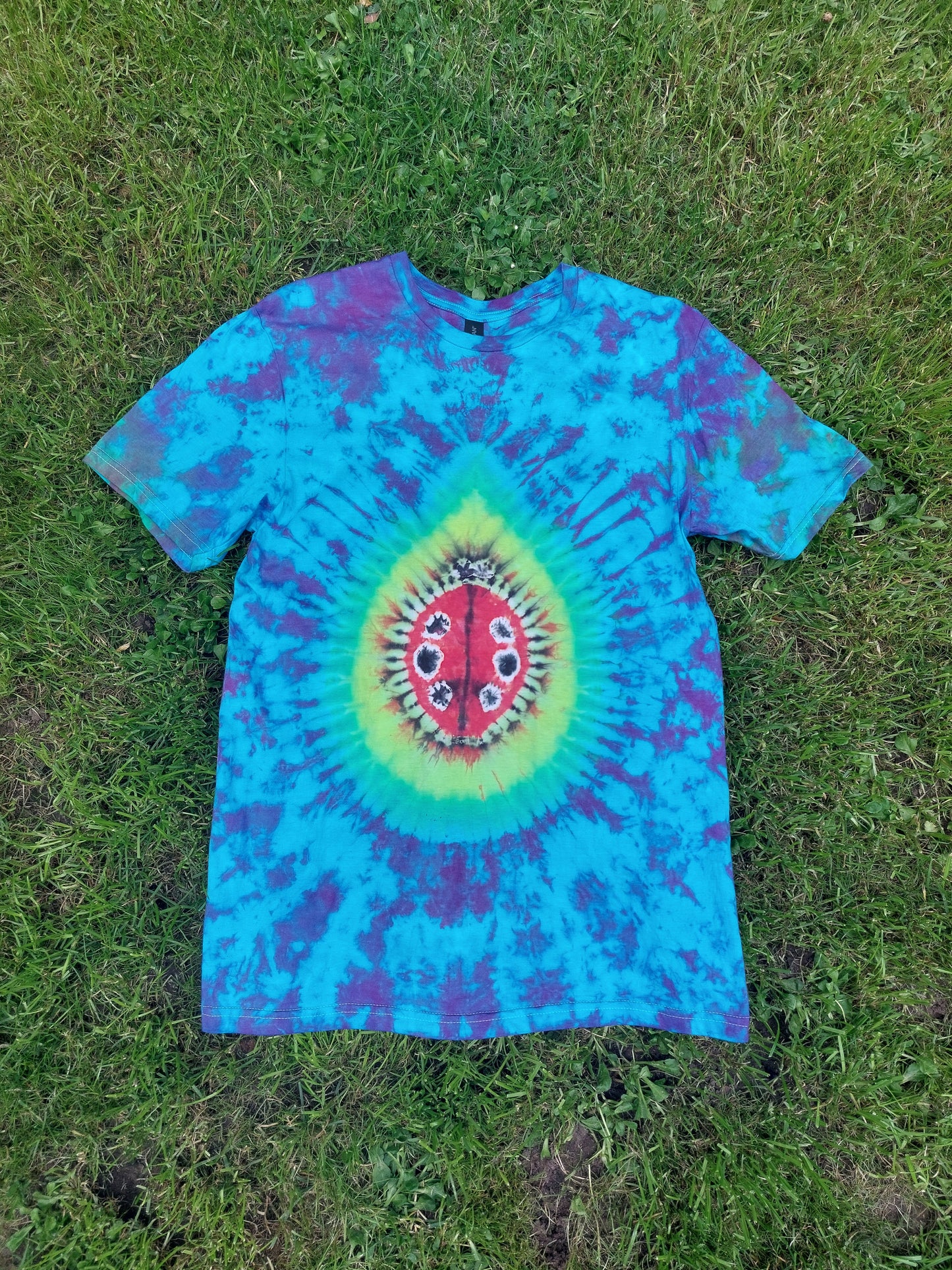 Ladybird on leaf Tie Dye T shirt UNISEX S-5XL