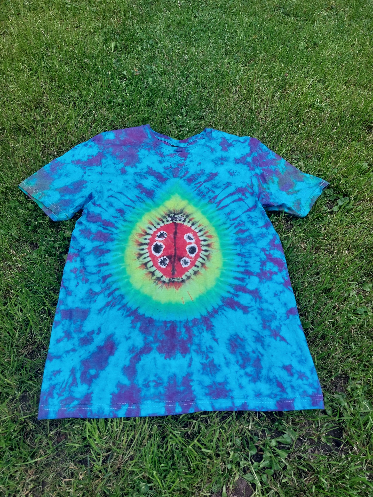 Ladybird on leaf Tie Dye T shirt UNISEX S-5XL