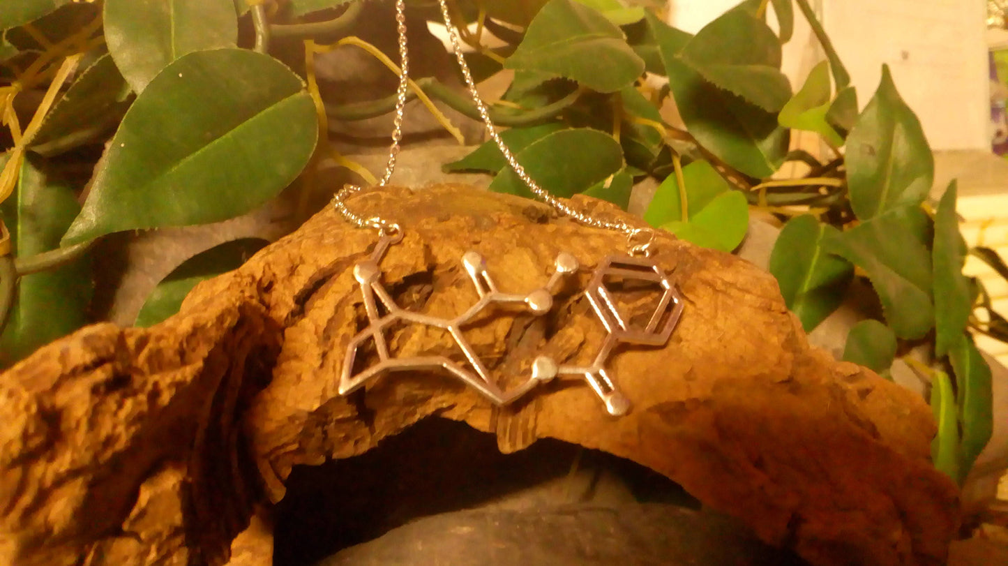 Cocaine Molecule DNA genetic structure pendant necklace