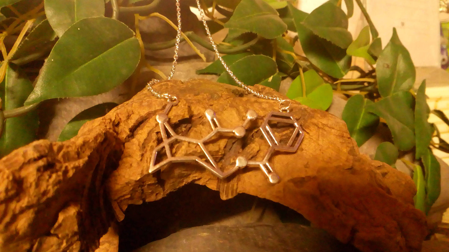 Cocaine Molecule DNA genetic structure pendant necklace