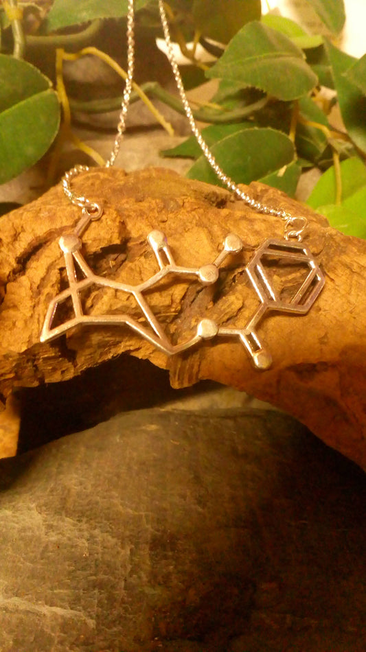 Cocaine Molecule DNA genetic structure pendant necklace