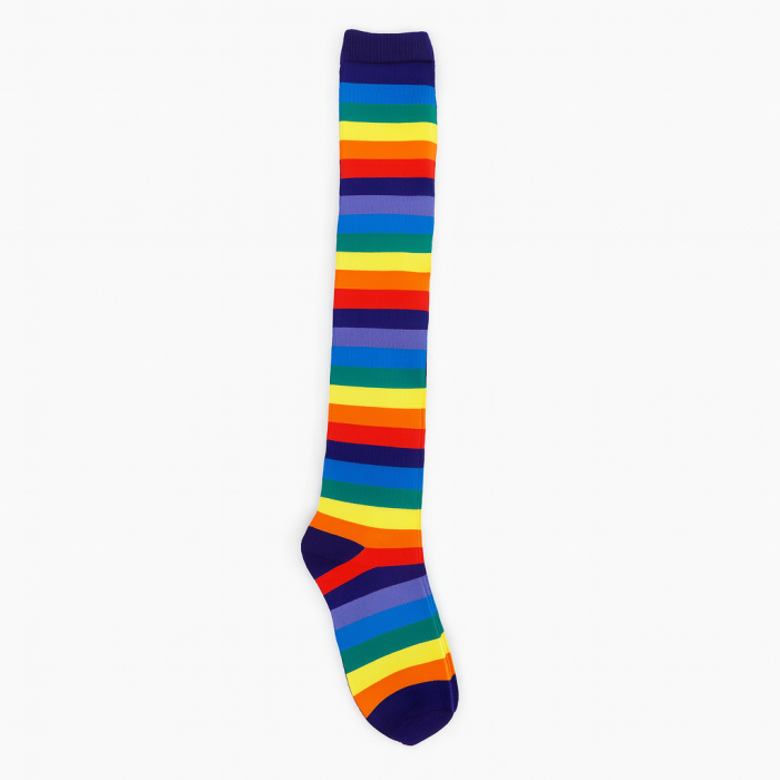 Rainbow gay pride flag Welly Socks
