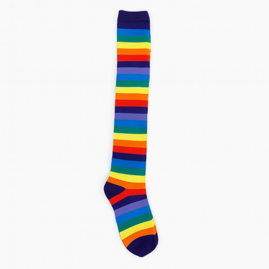 Rainbow gay pride flag Welly Socks